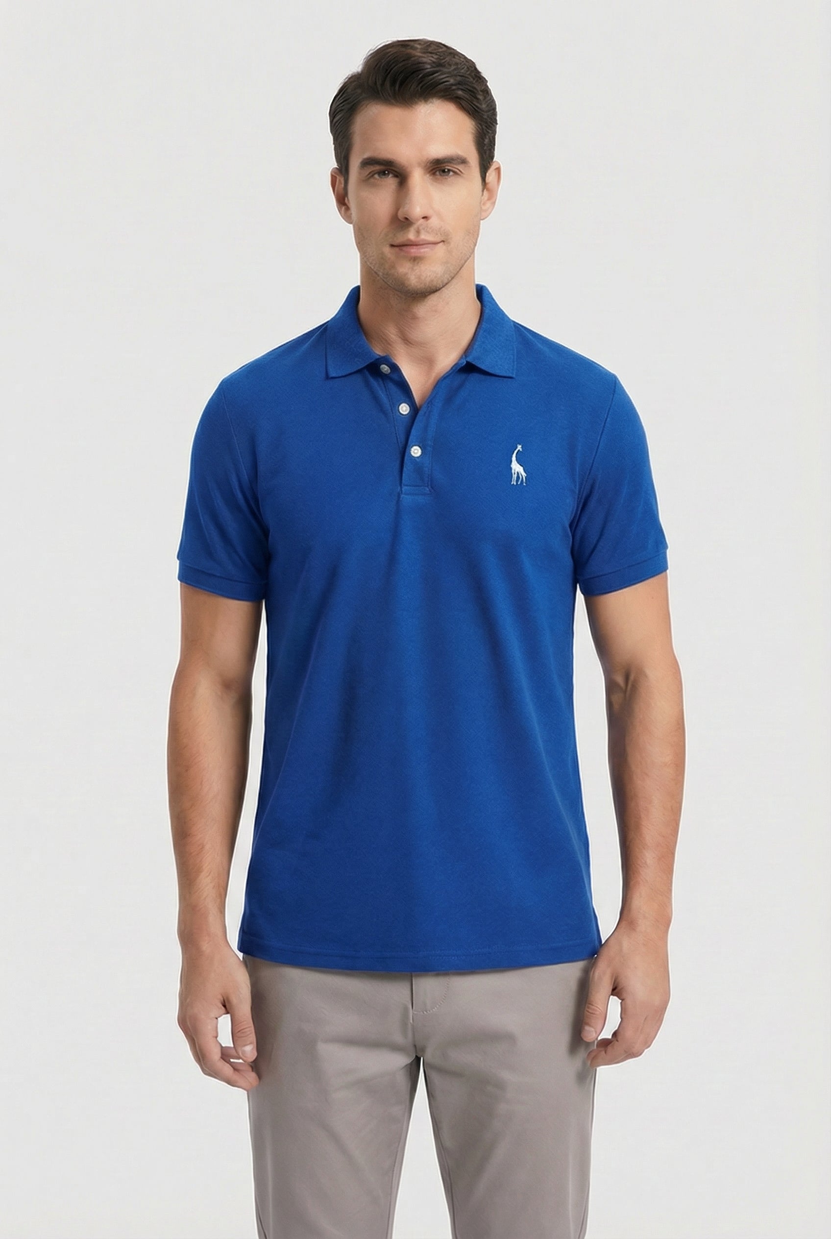 Hombre Polo Casual Con Bordado Decorativo Y Cuello Clásico