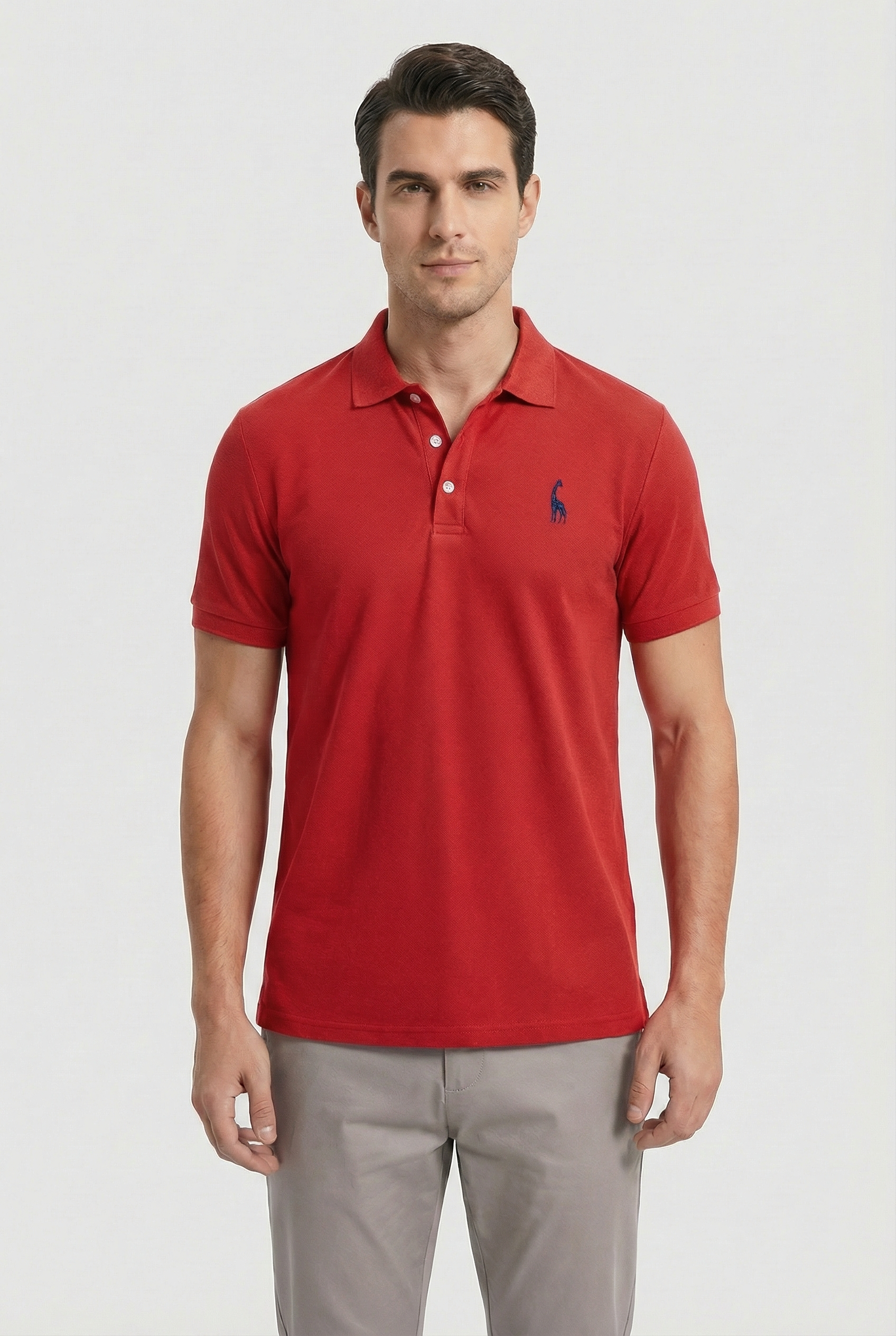 Hombre Polo Casual Con Bordado Decorativo Y Cuello Clásico
